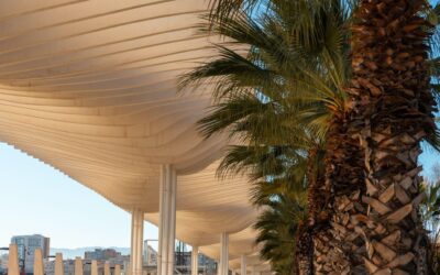 How to Choose the Best Shade Solution for Your Home or Business